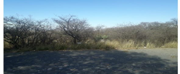 Terreno en venta en Cuarto Centenario, San Juan del Río — foto 2 de 2