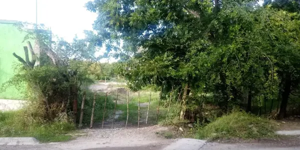 Terreno en venta en Del Sombreretillo, Parras — foto 2 de 8