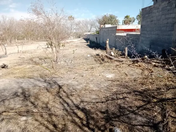 Terreno en venta en Del Sombreretillo, Parras — foto 3 de 8