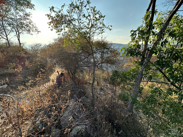 Terreno en venta en Los Llanos, Tzitzio — foto 3 de 16