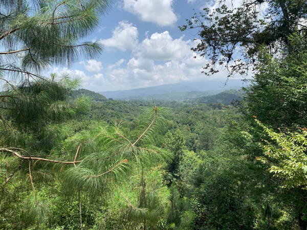 Terreno en venta en Manantiales, Xalapa — foto 3 de 15