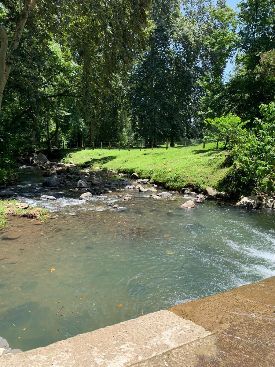 Terreno en venta en Manantiales, Xalapa — foto 1 de 15