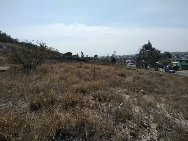 Terreno en Venta Sobre Prolongacion Corregidora Norte, Arboledas