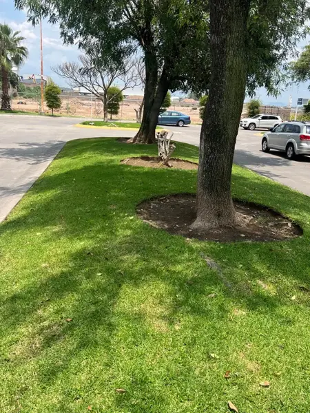Casa en venta en Valle del Sur, San Pedro Tlaquepaque — foto 2 de 33
