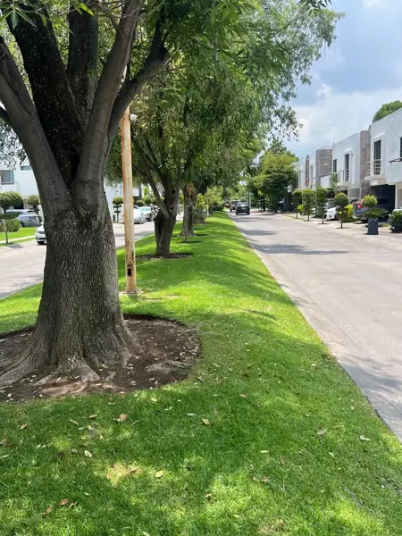 Casa en venta en Valle del Sur, San Pedro Tlaquepaque — foto 3 de 33