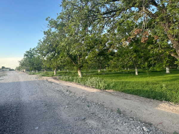 Terreno en venta en El Perú, Torreón — foto 2 de 4