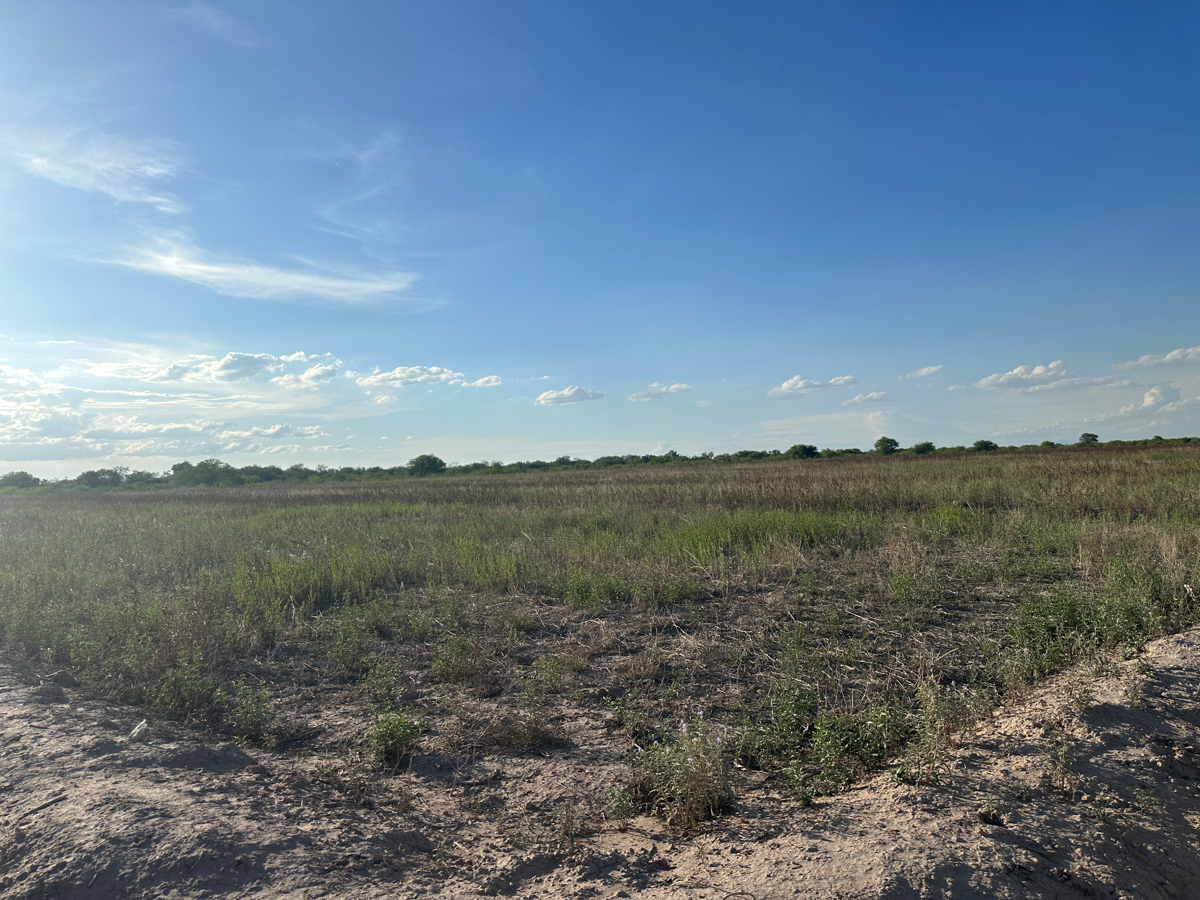 Terreno en venta en El Perú, Torreón — foto 1 de 3