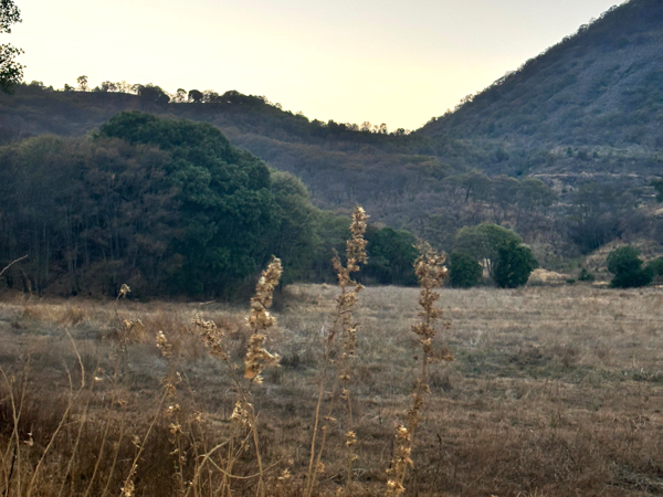 Terreno en venta en Capula, Morelia — foto 3 de 11