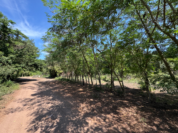 Terreno en renta en Coyuquilla, La Unión de Isidoro Montes de Oca — foto 2 de 9