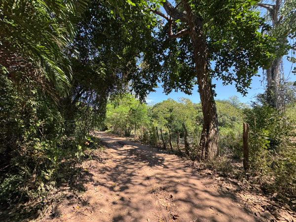 Terreno en renta en Coyuquilla, La Unión de Isidoro Montes de Oca — foto 3 de 9
