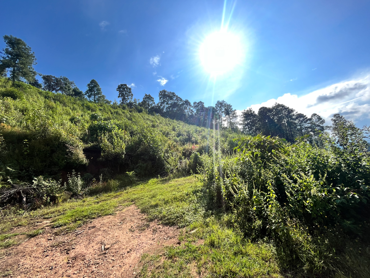 Terreno en venta en El Vaquerito, Charo — foto 1 de 6