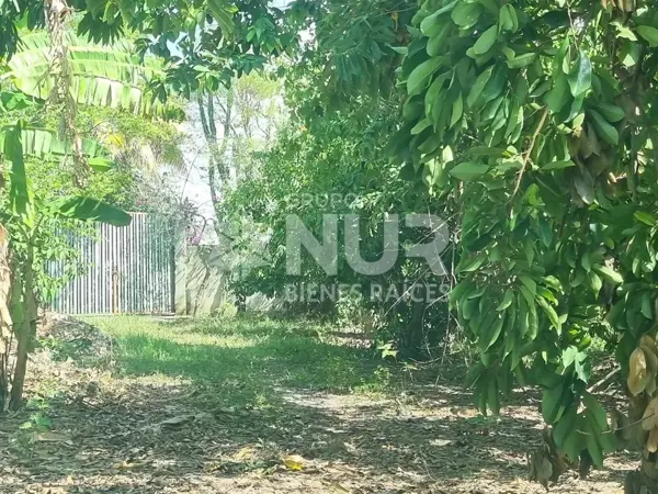 Terreno en venta en La Palma, Centro — foto 3 de 11