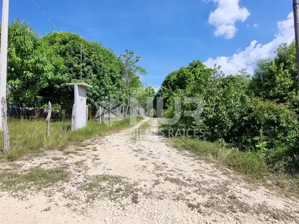 Terreno en venta en La Palma, Centro — foto 2 de 11