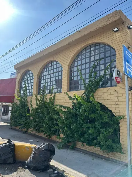 Local en venta en Felipe Angeles, Torreón — foto 3 de 12