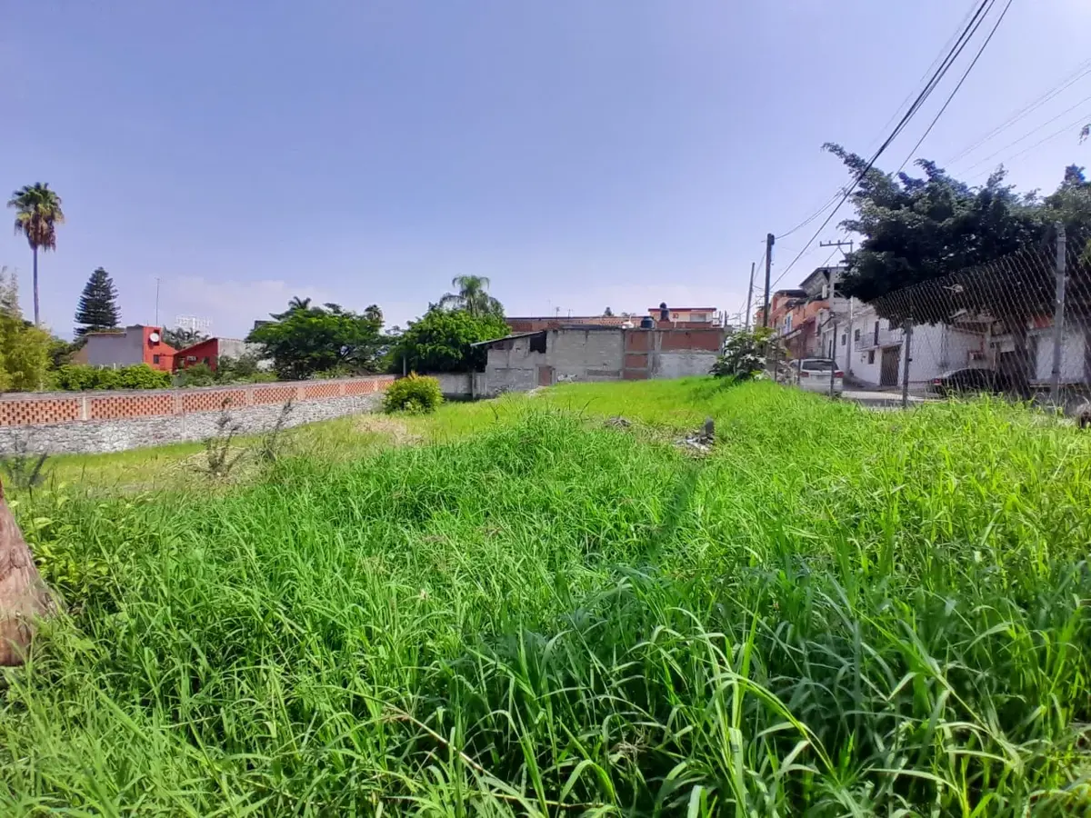 Terreno en renta en Tres de Mayo, Emiliano Zapata — foto 1 de 3