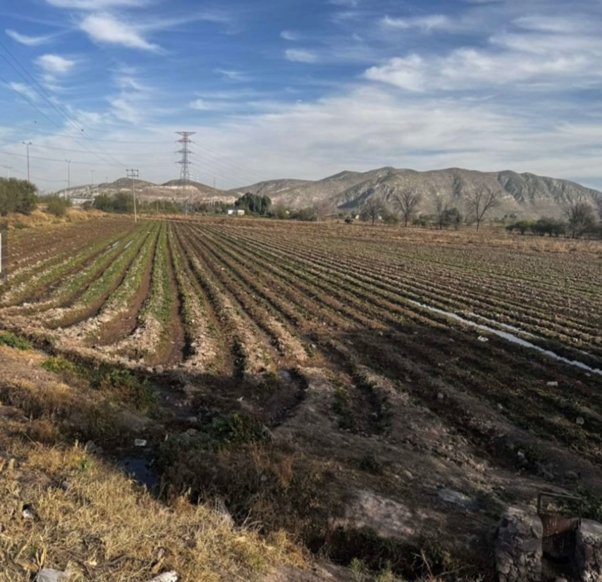 Terreno en venta en Francisco Villa Sur, Lerdo — foto 1 de 3