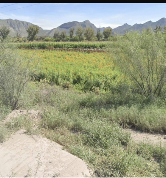 Terreno en venta en Francisco Villa Sur, Lerdo — foto 3 de 3
