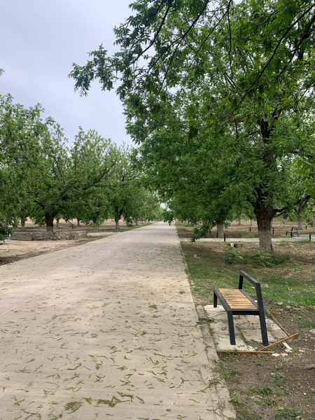 Quinta en venta en El Quemado, Gómez Palacio — foto 2 de 7