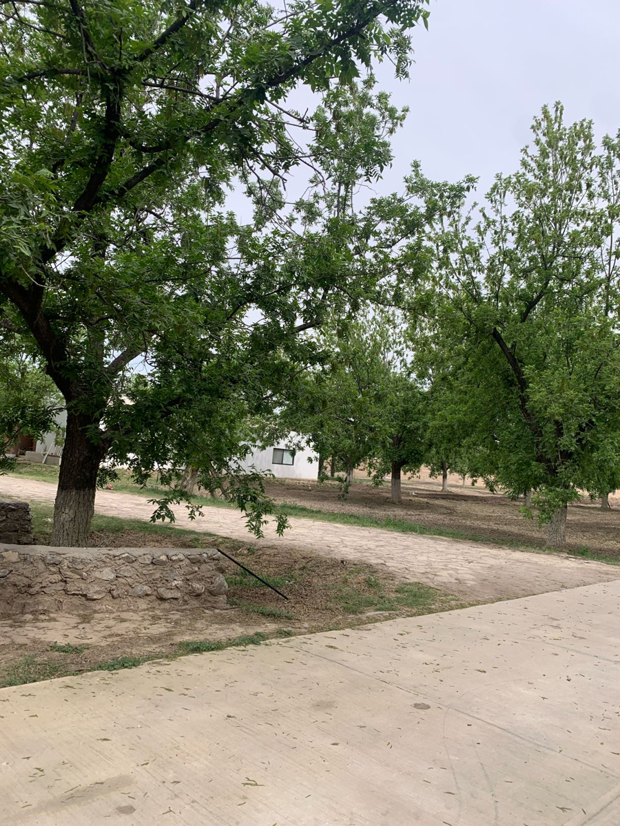 Quinta en venta en El Quemado, Gómez Palacio — foto 1 de 7