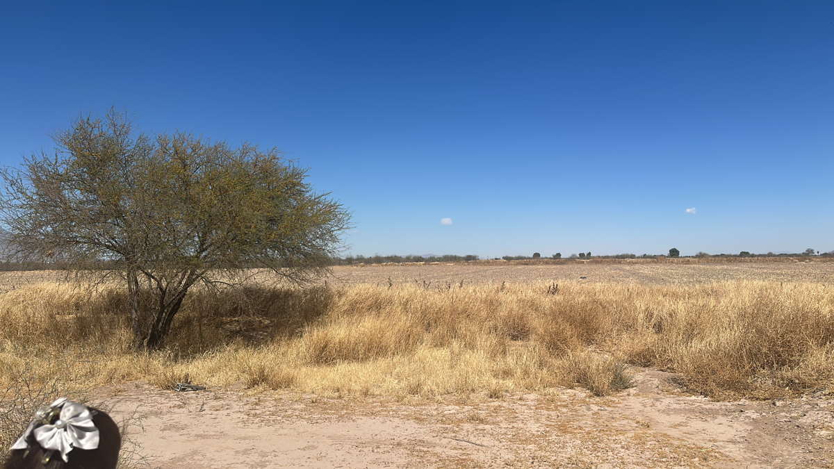Terreno en venta en Paso del Aguila, Torreón — foto 1 de 4