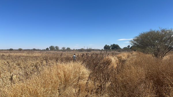 Terreno en venta en Paso del Aguila, Torreón — foto 2 de 4