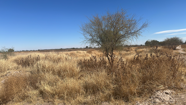 Terreno en venta en Paso del Aguila, Torreón — foto 3 de 4