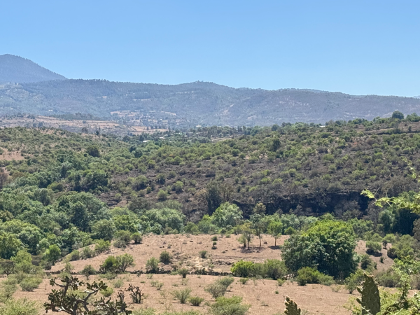 Terreno en venta en San Andrés Coapa, Acuitzio — foto 3 de 13