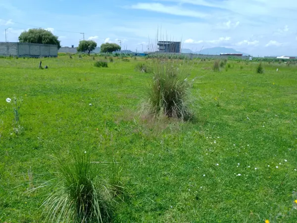 Terreno en venta en San Miguel Totocuitlapilco, Metepec — foto 2 de 4