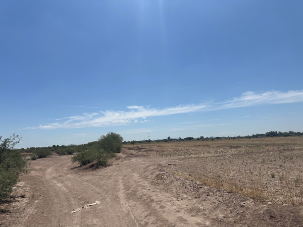 Terreno en venta en Pastor Rouaix (jaboncillo), Gómez Palacio — foto 3 de 4