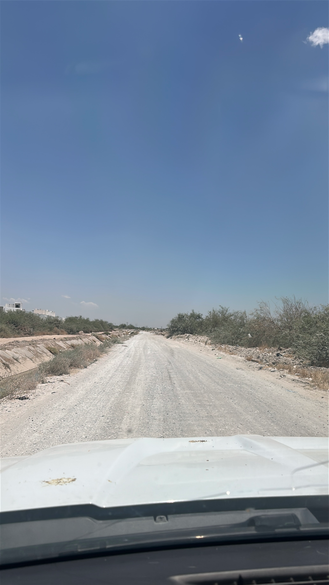 Terreno en venta en Pastor Rouaix, Gómez Palacio — foto 1 de 4