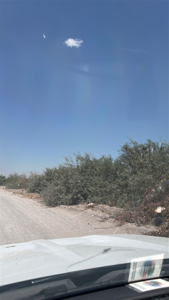 Terreno en venta en Pastor Rouaix, Gómez Palacio — foto 3 de 4