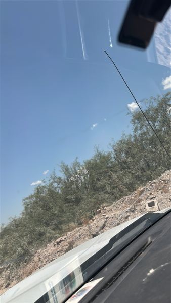 Terreno en venta en Pastor Rouaix, Gómez Palacio — foto 2 de 4