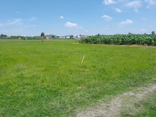 Terreno en venta en San Miguel Totocuitlapilco, Metepec — foto 2 de 4