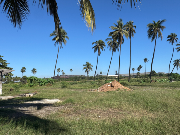 Terreno en renta en Siderúrgica Lázaro Cárdenas Las Truchas, Lázaro Cárdenas — foto 2 de 14