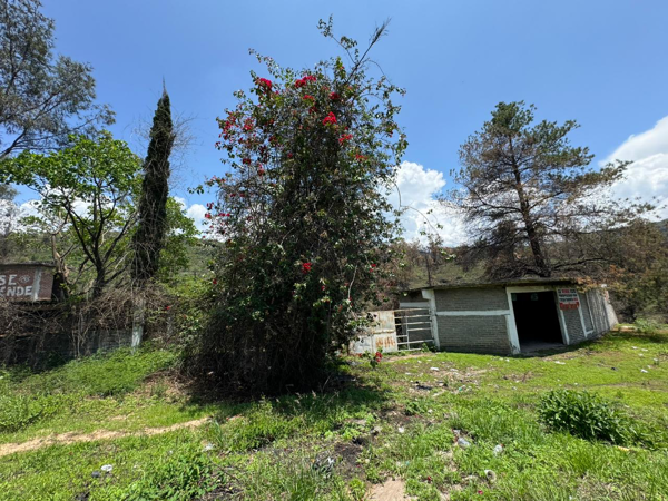 Terreno en venta en Santa Clara del Tule, Zinapécuaro — foto 3 de 14