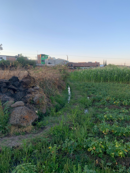 Terreno en venta en Panindicuaro, Panindícuaro — foto 2 de 15