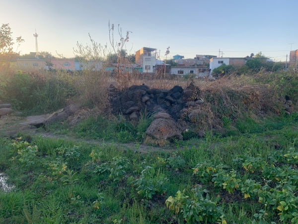 Terreno en venta en Panindicuaro, Panindícuaro — foto 3 de 15