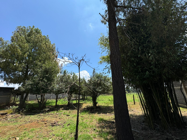 Terreno en venta en El Mirador, Pátzcuaro — foto 2 de 10