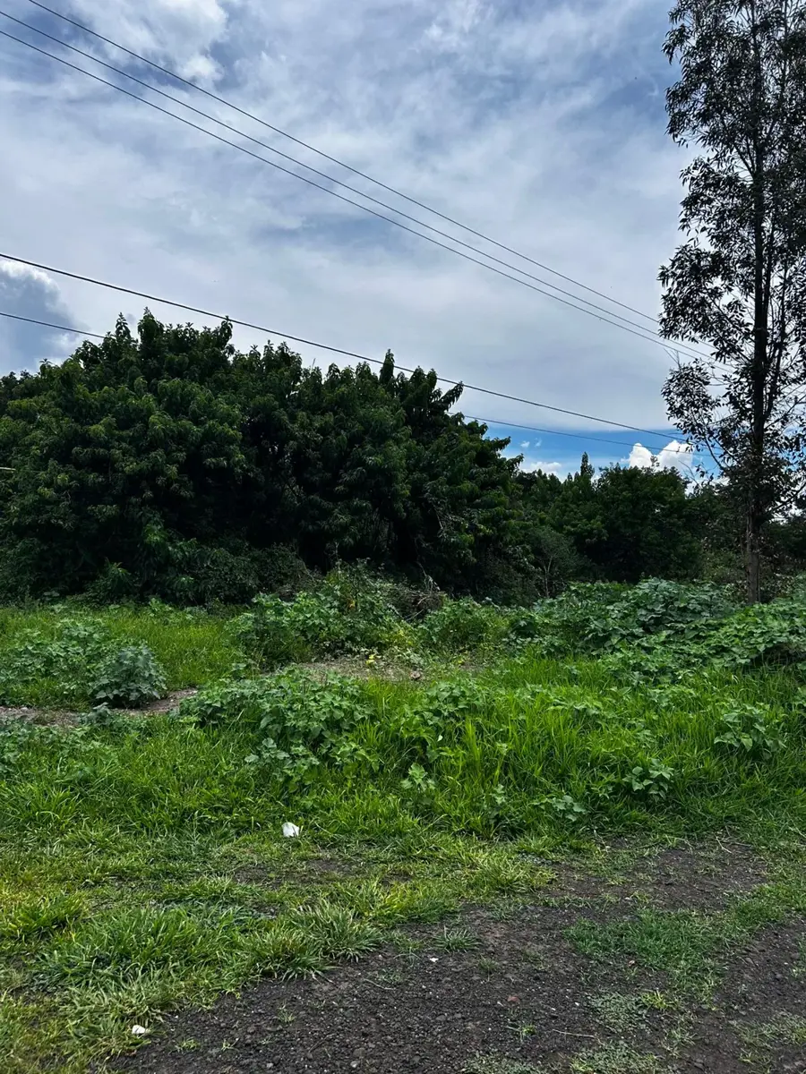 Terreno en venta en San Javier Xanámurhu, Morelia — foto 1 de 2