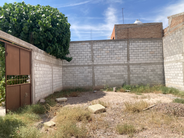 Terreno en venta en Ampliación la Rosita, Torreón — foto 3 de 4