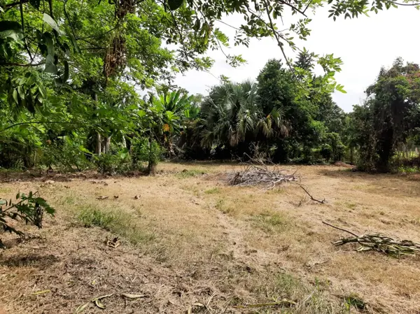 Terreno en venta en Río Tinto 1ra. Sección, Centro — foto 3 de 5