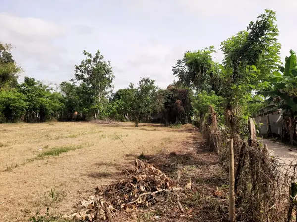Terreno en venta en Río Tinto 1ra. Sección, Centro — foto 2 de 5