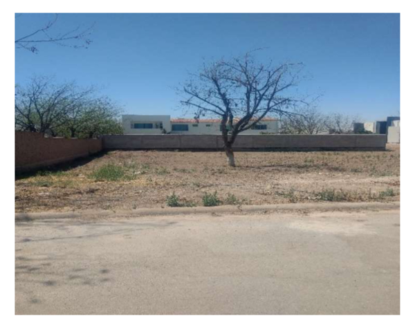 Terreno en venta en Las Trojes, Torreón — foto 2 de 3