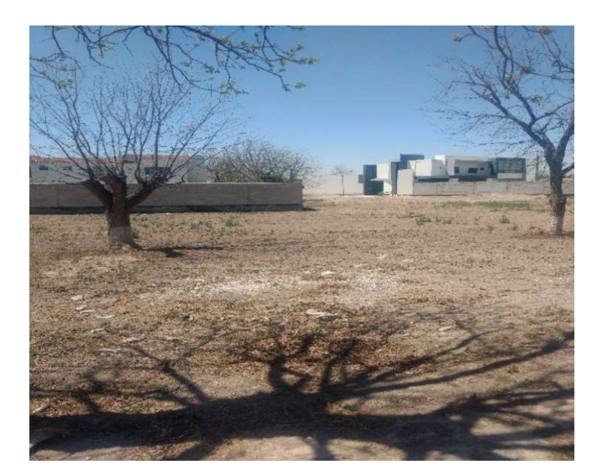 Terreno en venta en Las Trojes, Torreón — foto 2 de 3