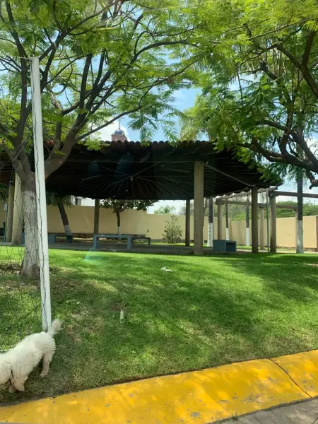 Terreno en venta en Los Almendros, Zapopan — foto 3 de 13