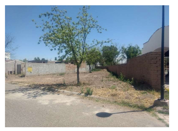 Terreno en venta en Las Trojes, Torreón — foto 2 de 3