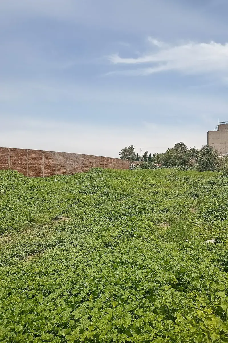 Terreno en venta en San Antonio El Desmonte, Pachuca de Soto — foto 1 de 5