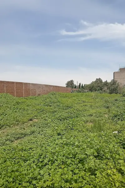 TERRENO EN VENTA. SAN ANTONIO, PACHUCA