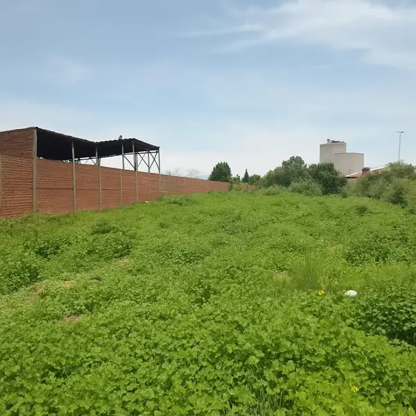 Terreno en venta en San Antonio El Desmonte, Pachuca de Soto — foto 3 de 5