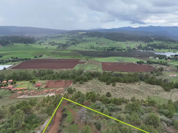 Terreno en venta en Ferreria de Tula, Tapalpa — foto 3 de 9